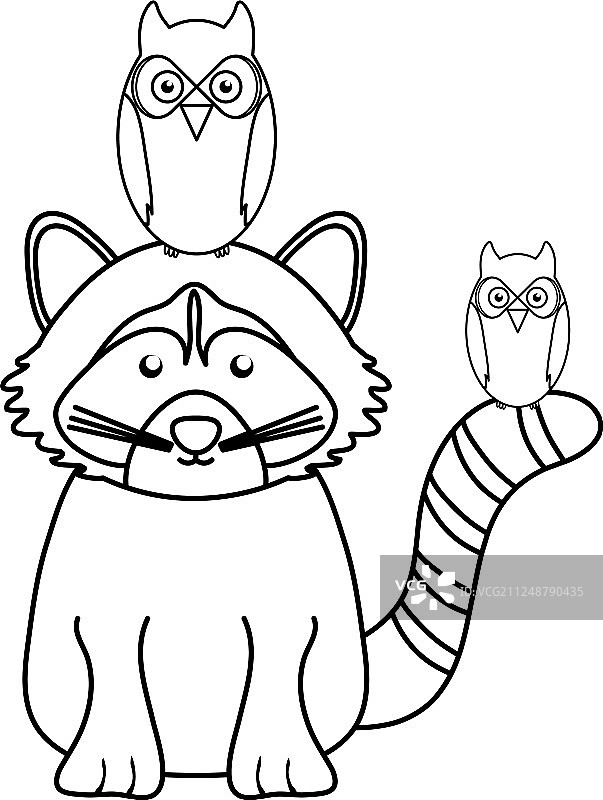 可爱的浣熊和猫头鹰鸟类图片素材