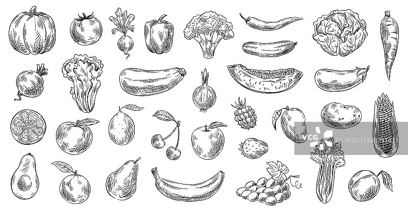 手绘有机蔬菜水果速写图片素材