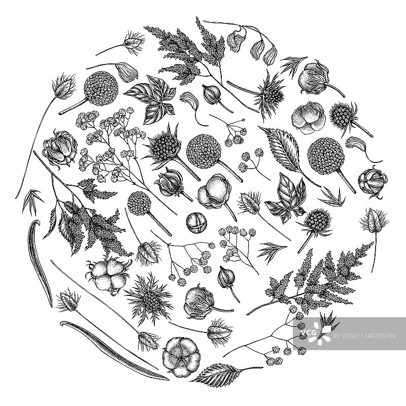 黑白落新妇圆形花卉设计图片素材