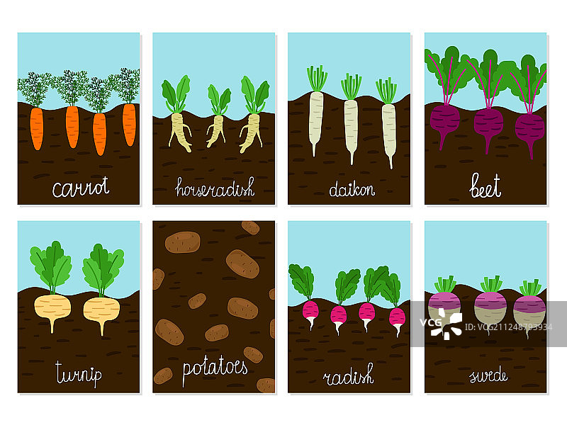 蔬菜花园的根图片素材