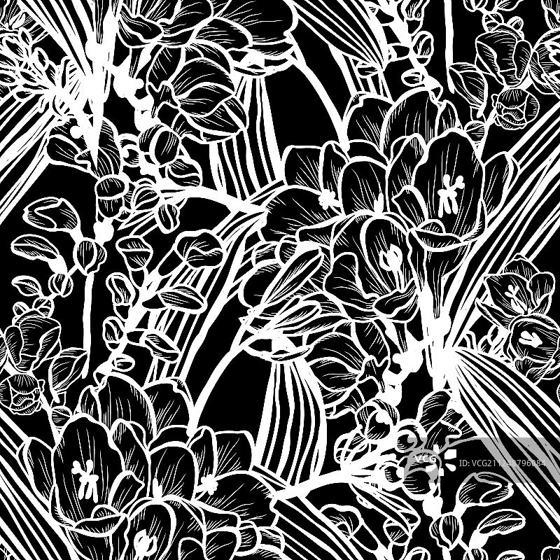 花卉无缝模式图片素材