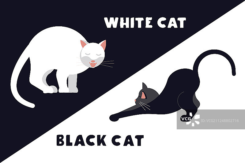 受惊的黑白小猫图片素材