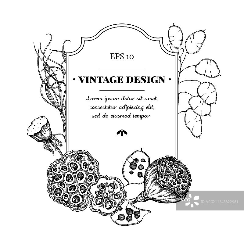 黑白羽毛草徽章设计图片素材