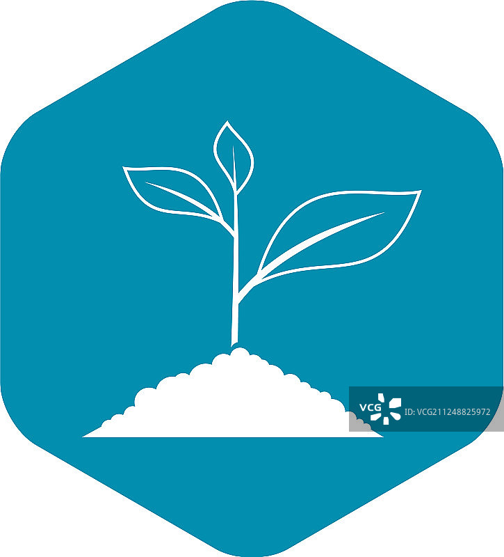 植物生长图标，简约风格图片素材