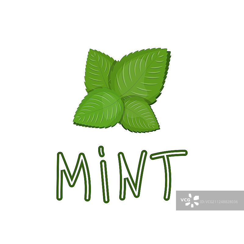 薄荷绿图片素材