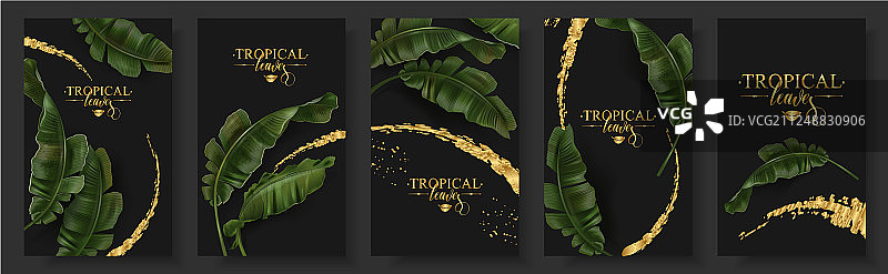 香蕉热带叶子banner套装图片素材