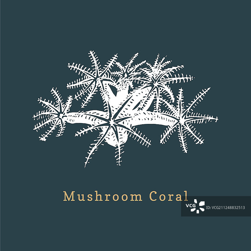 蘑菇珊瑚海洋绘画图片素材
