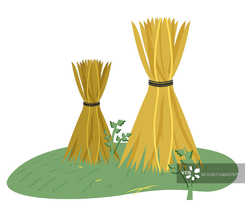 草地麦田农田上的干草堆图片素材