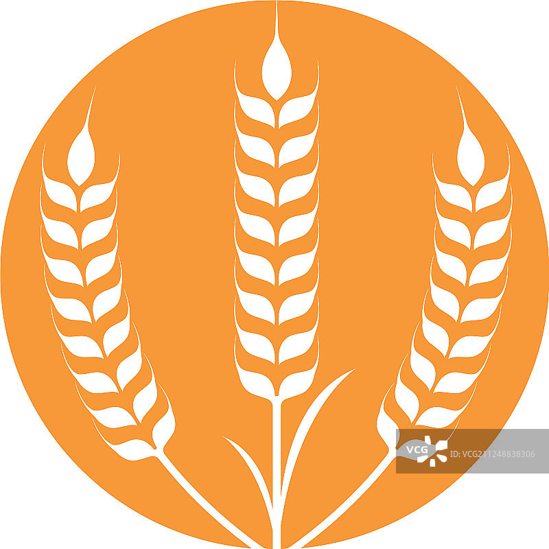 小麦农业logo模板图标图片素材