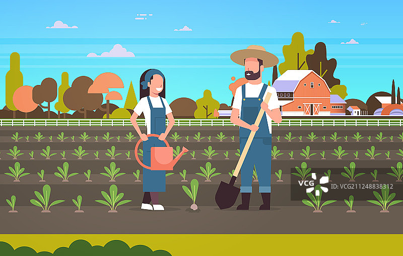 农民夫妇种植秧苗图片素材