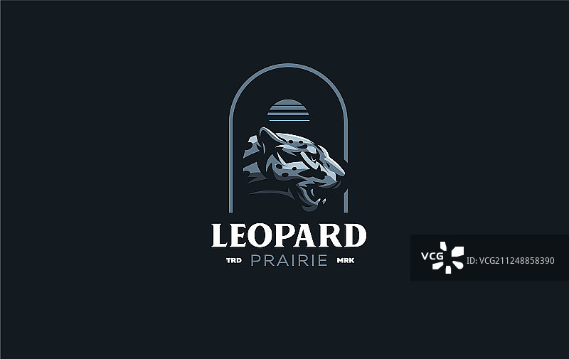 这是美洲狮或豹的形象图片素材