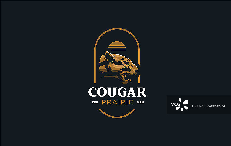 这是美洲狮或豹的形象图片素材