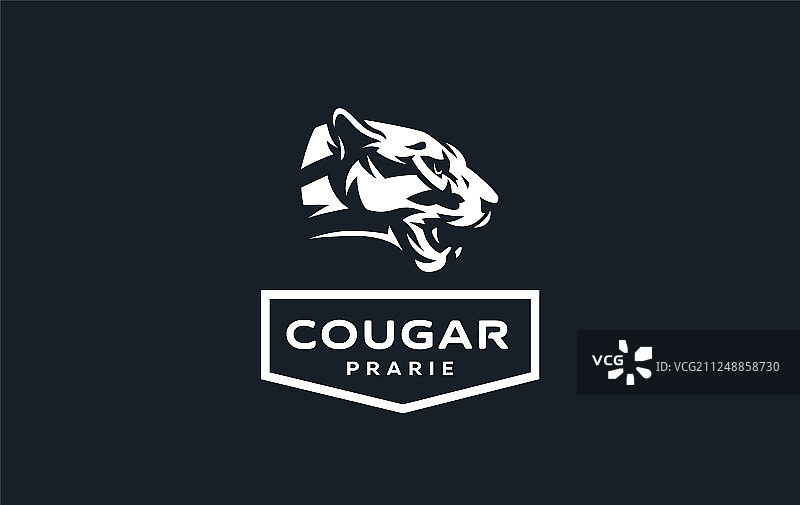 这是美洲狮或豹的形象图片素材