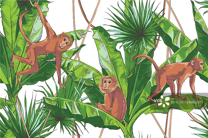 热带香蕉棕榈纹理无缝背景图片素材