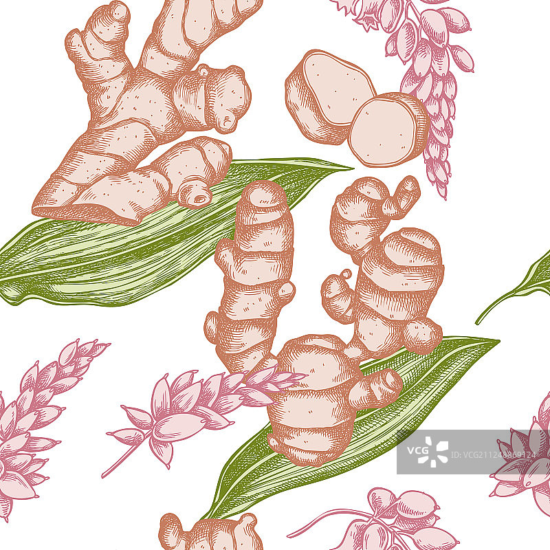 手绘淡彩姜花无缝图案图片素材