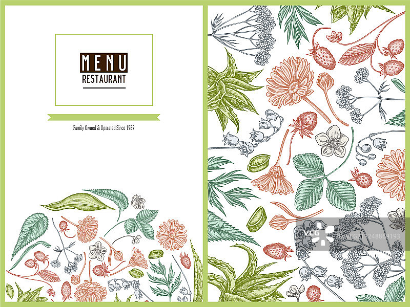带有柔和芦荟的菜单封面花卉设计图片素材
