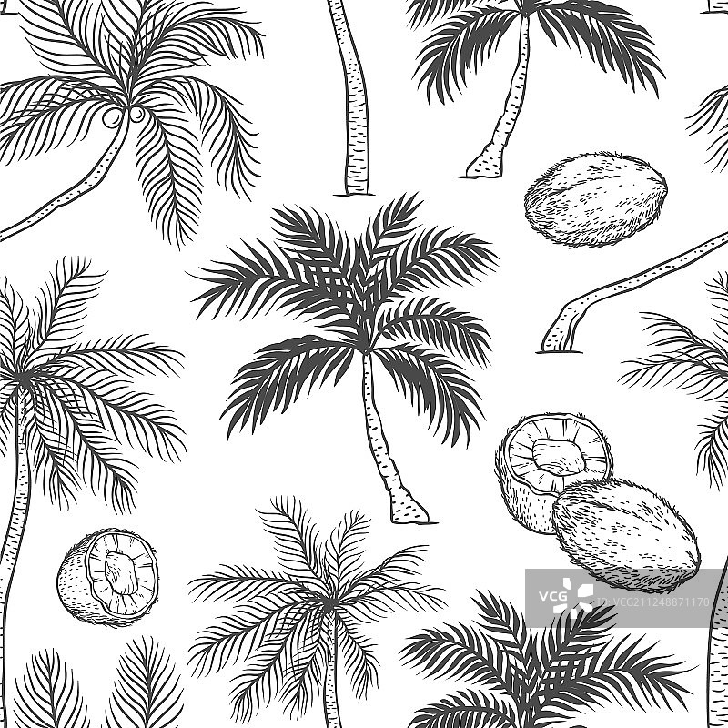 不同黑色棕榈树叶的无缝图案图片素材