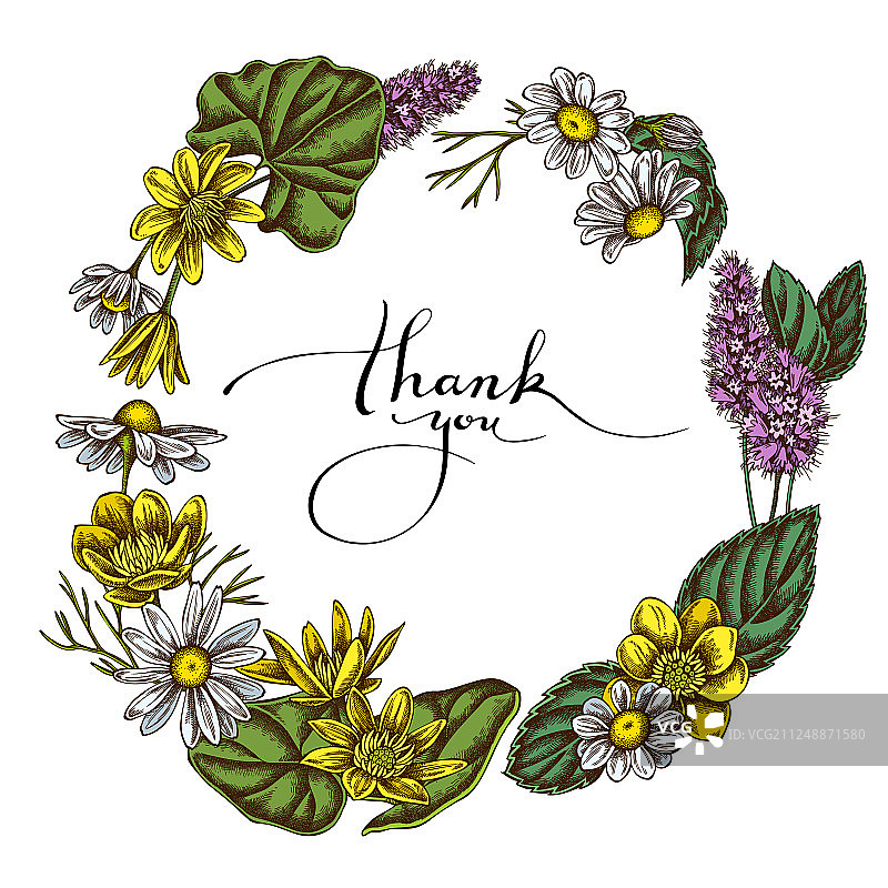 彩色花环图片素材