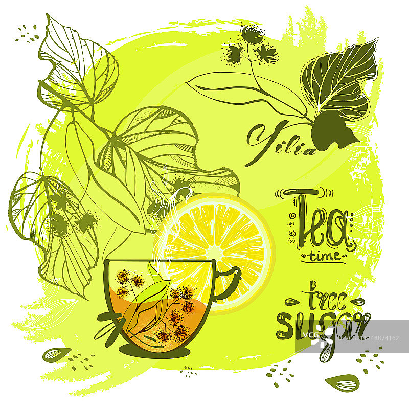 手绘椴树枝叶与花朵图片素材