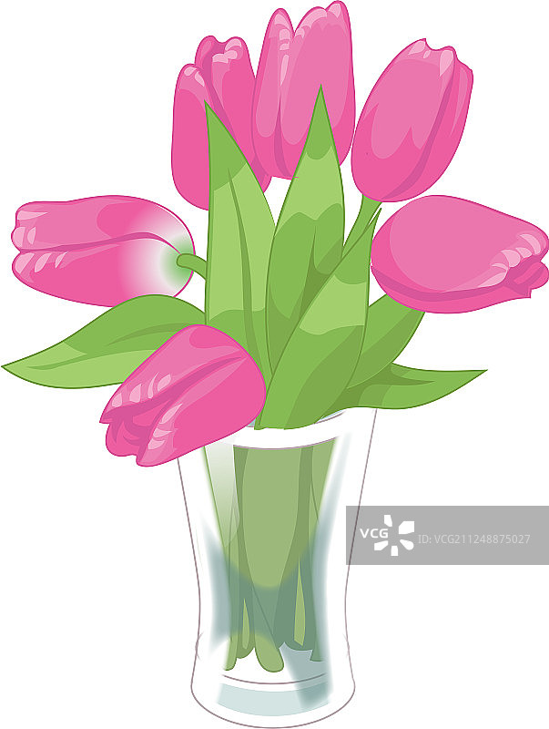 玻璃花瓶中的粉色郁金香春季花束图片素材