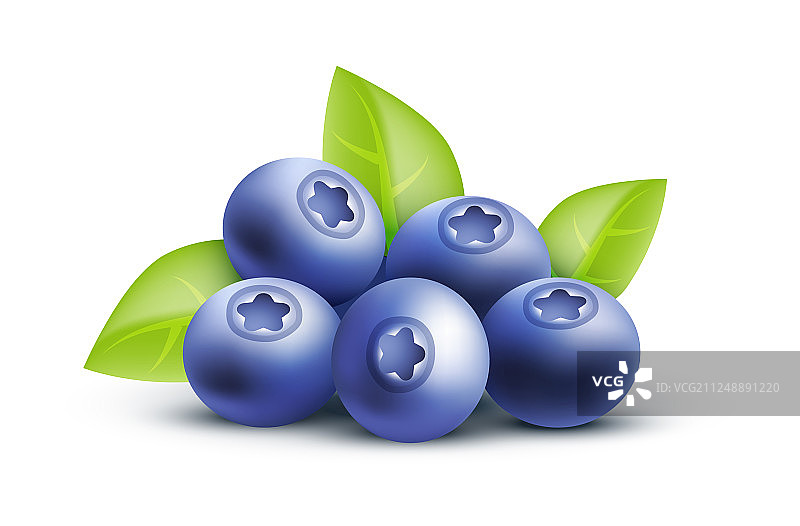 蓝莓图标图片素材