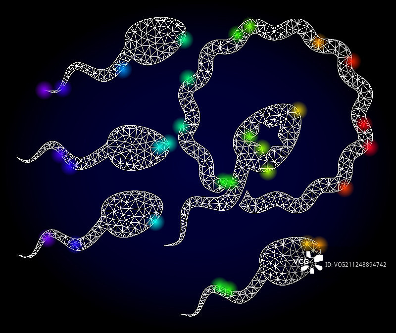 精子受精网络模型图片素材