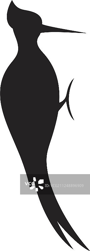 啄木鸟图片素材