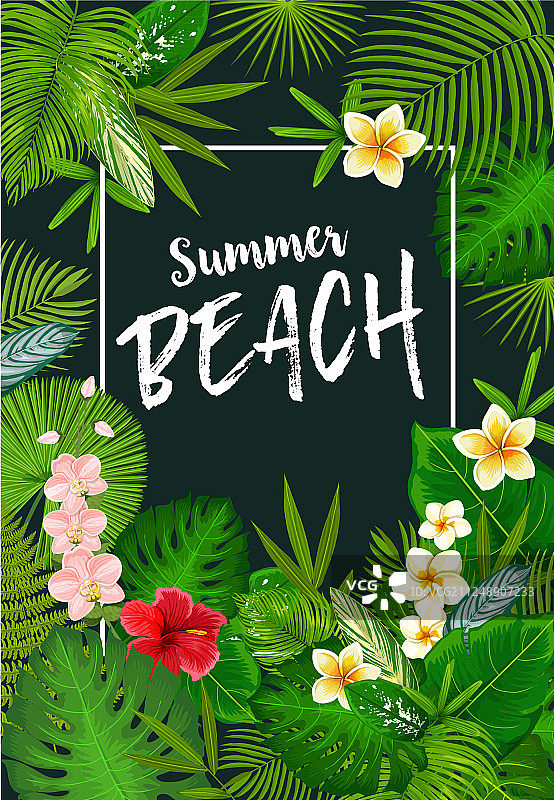 热带棕榈叶夏季海报图片素材