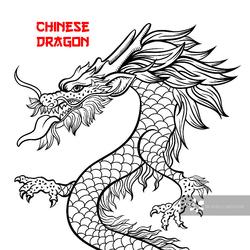 中国龙手绘线稿图片素材
