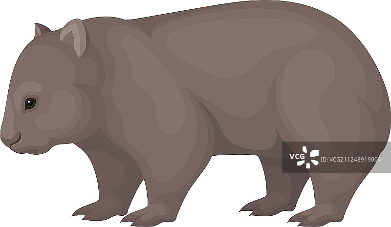 袋熊侧视图的详细扁平图标图片素材