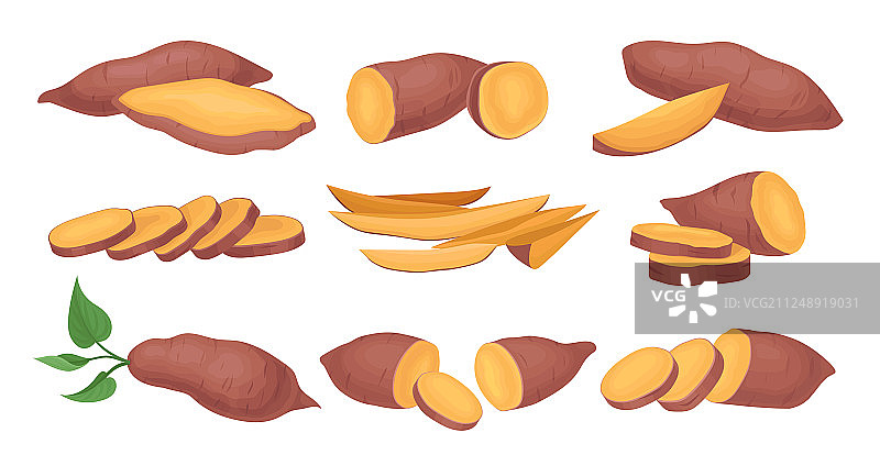 扁平风完整切片甘薯插画合集图片素材