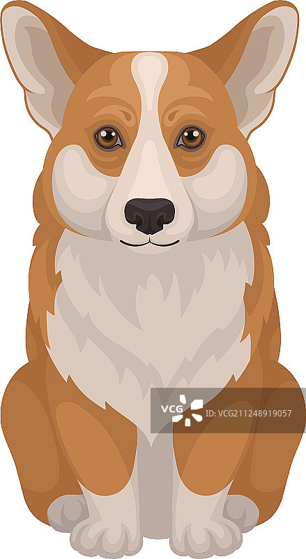 威尔士柯基犬扁平风图标图片素材