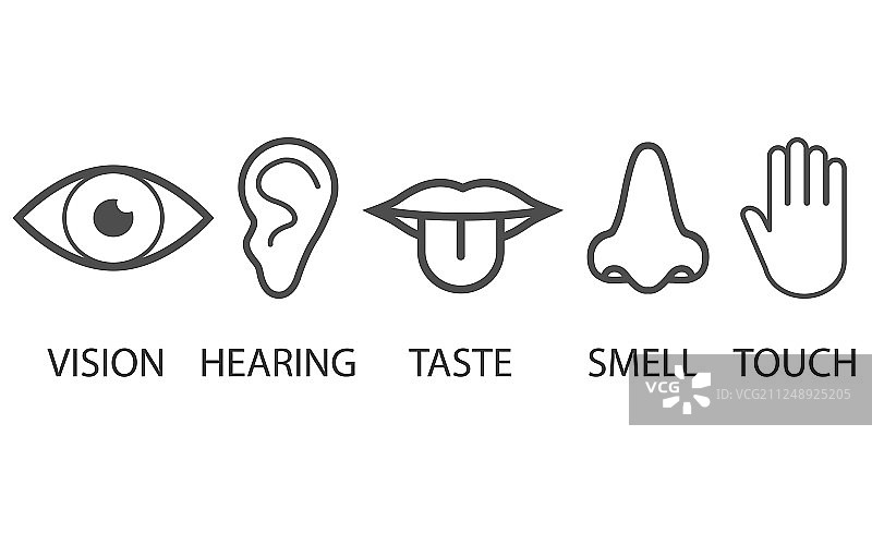 人类感官图标（扁平风格）图片素材