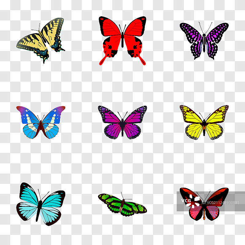 逼真的老虎图案符号图片素材