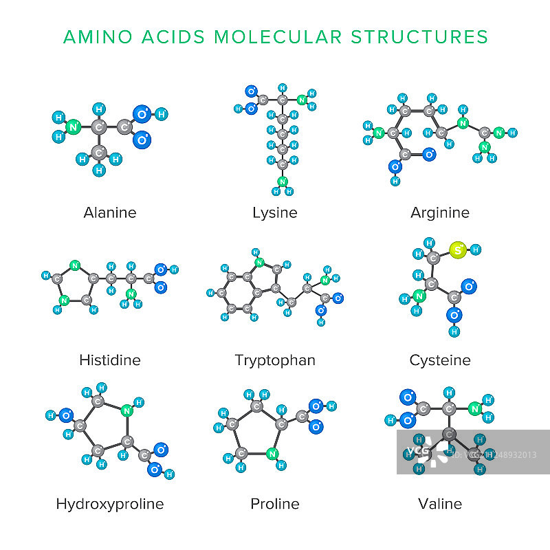 氨基酸分子结构图片素材
