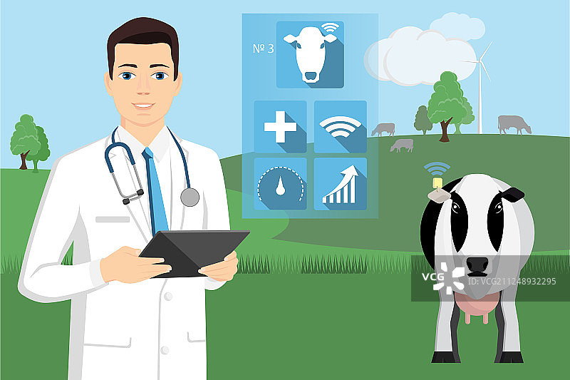 兽医在奶牛场使用平板电脑图片素材