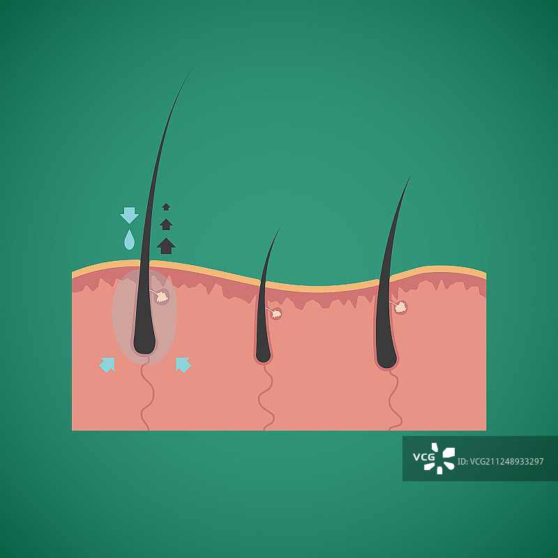 护发及生长营养概念图片素材