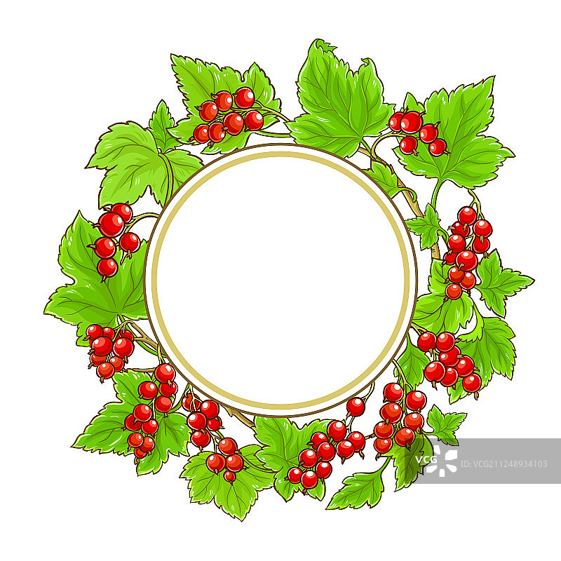 白色背景上的红色醋栗框架图片素材