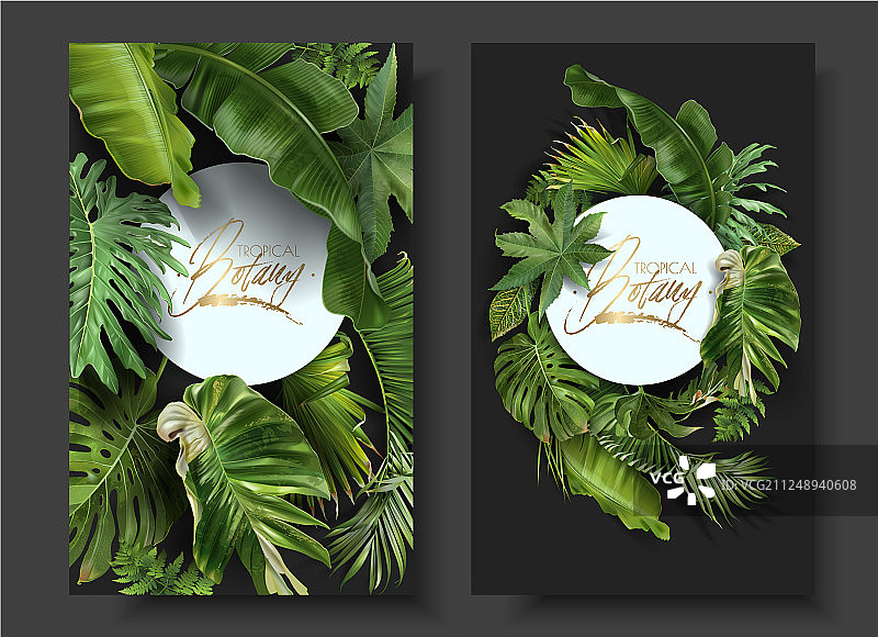 绿色热带树叶圆形banner图片素材