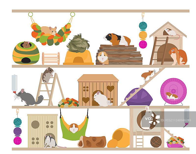 宠物啮齿动物家居用品图标集扁平风格图片素材