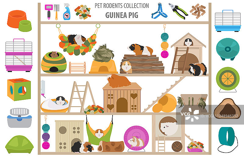 宠物啮齿动物家居用品图标集扁平风格图片素材