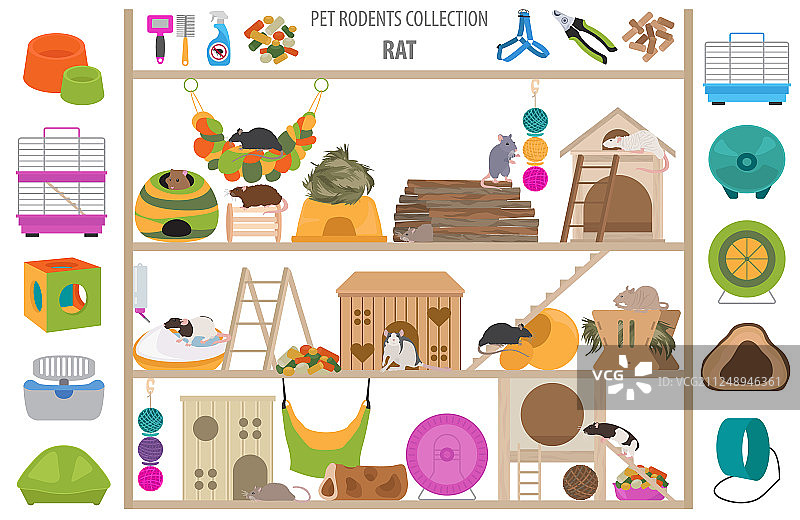 宠物啮齿动物家居用品图标集扁平风格图片素材