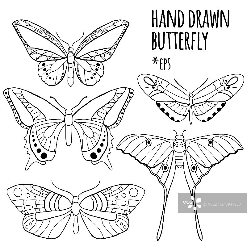 蝴蝶套装合集图片素材