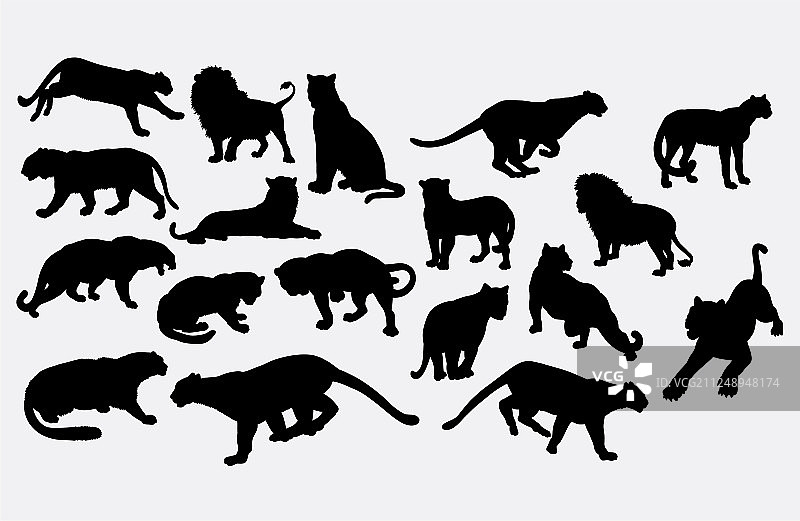 老虎和狮子野生动物剪影图片素材