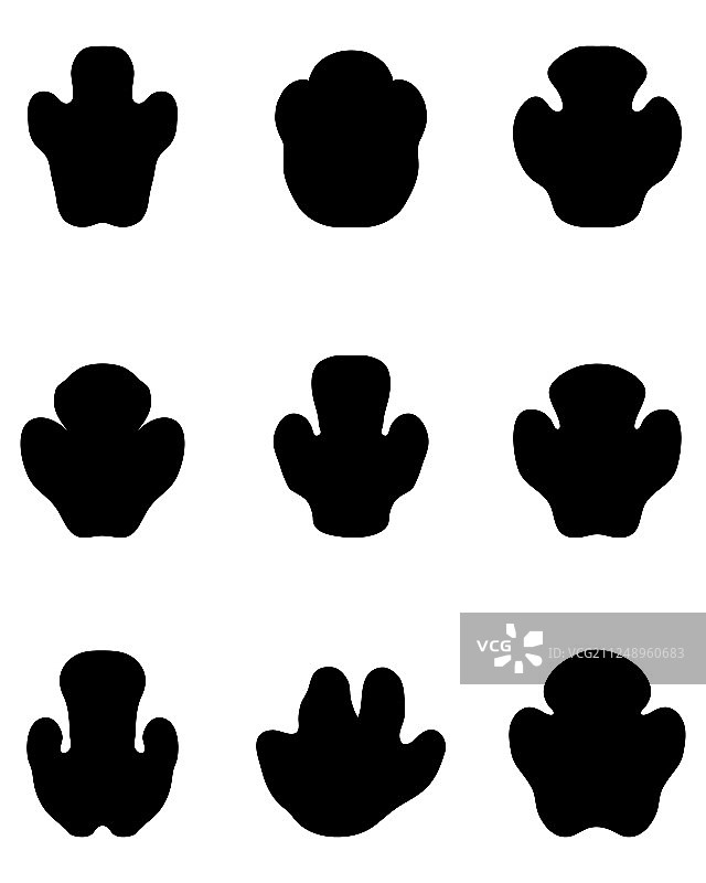 犀牛的黑色脚印图片素材