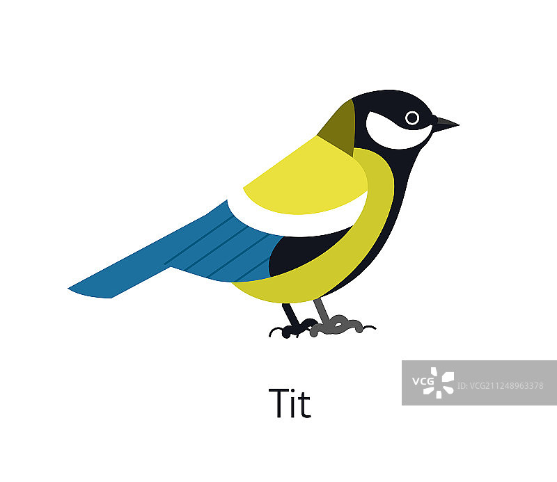 白色背景下的可爱有趣的大山雀图片素材