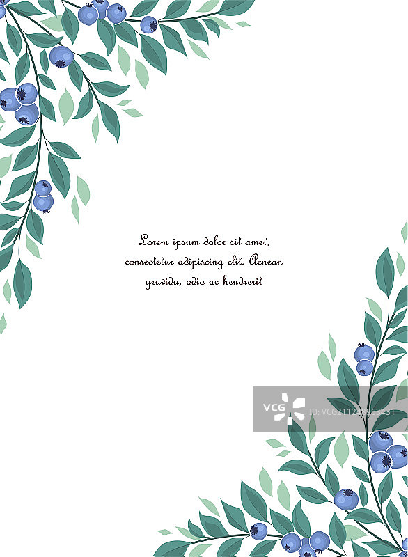 蓝莓水果背景图片素材