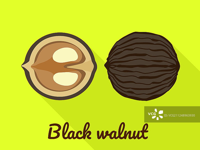 扁平风格的黑胡桃图标图片素材