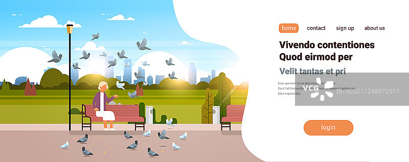 老年妇女喂养栖息的鸽子图片素材