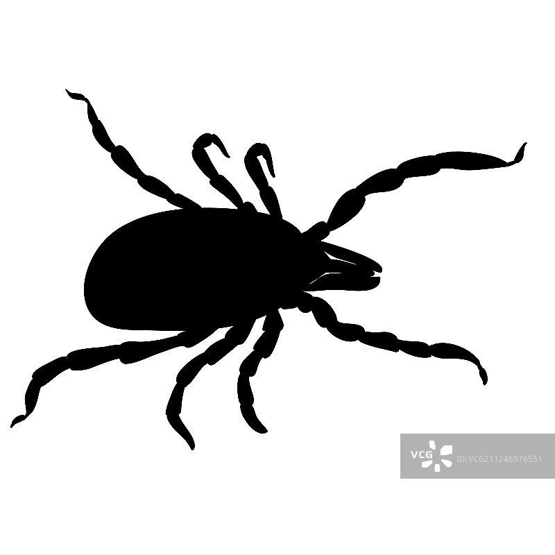 螨虫寄生虫蜱虫白色背景剪影图片素材